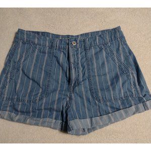 American Eagle 2.5" Shorts, size 10, great condition